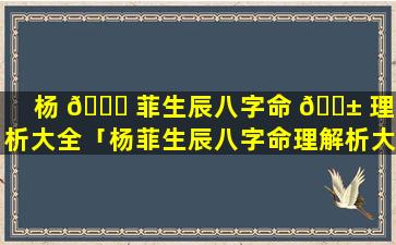 杨 🐛 菲生辰八字命 🐱 理解析大全「杨菲生辰八字命理解析大全最新」